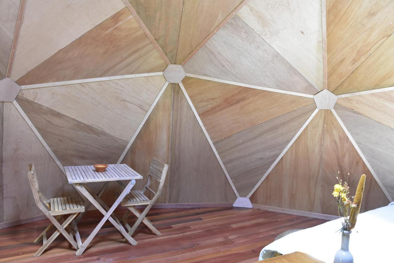 Les Insolites du Domaine d'Haulmé Esterno foto